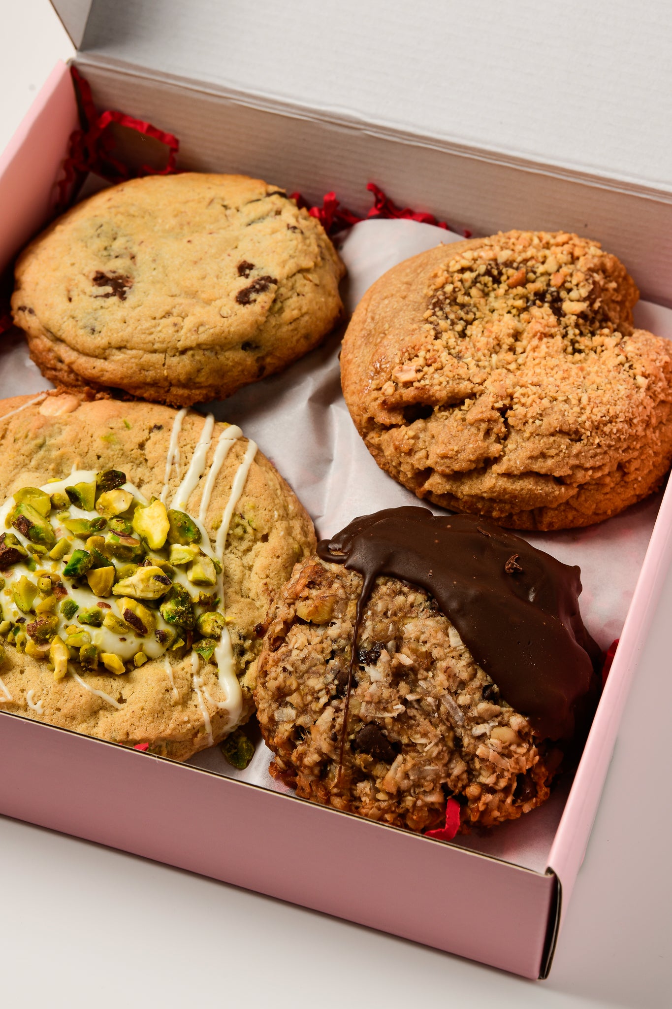 The Intro- Meet the family